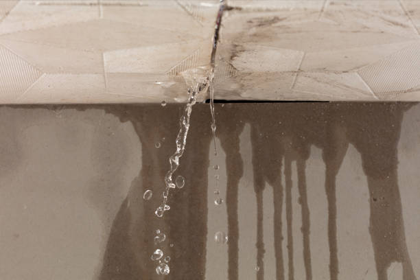 Professional Burst Pipe Cleanup technician working in Middle Island, NY
